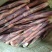 海拨9OO米以上的新鲜野生甜笋