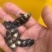 【优选】胭脂鱼苗，精品鱼苗，基地直供可送货上门可基地自提