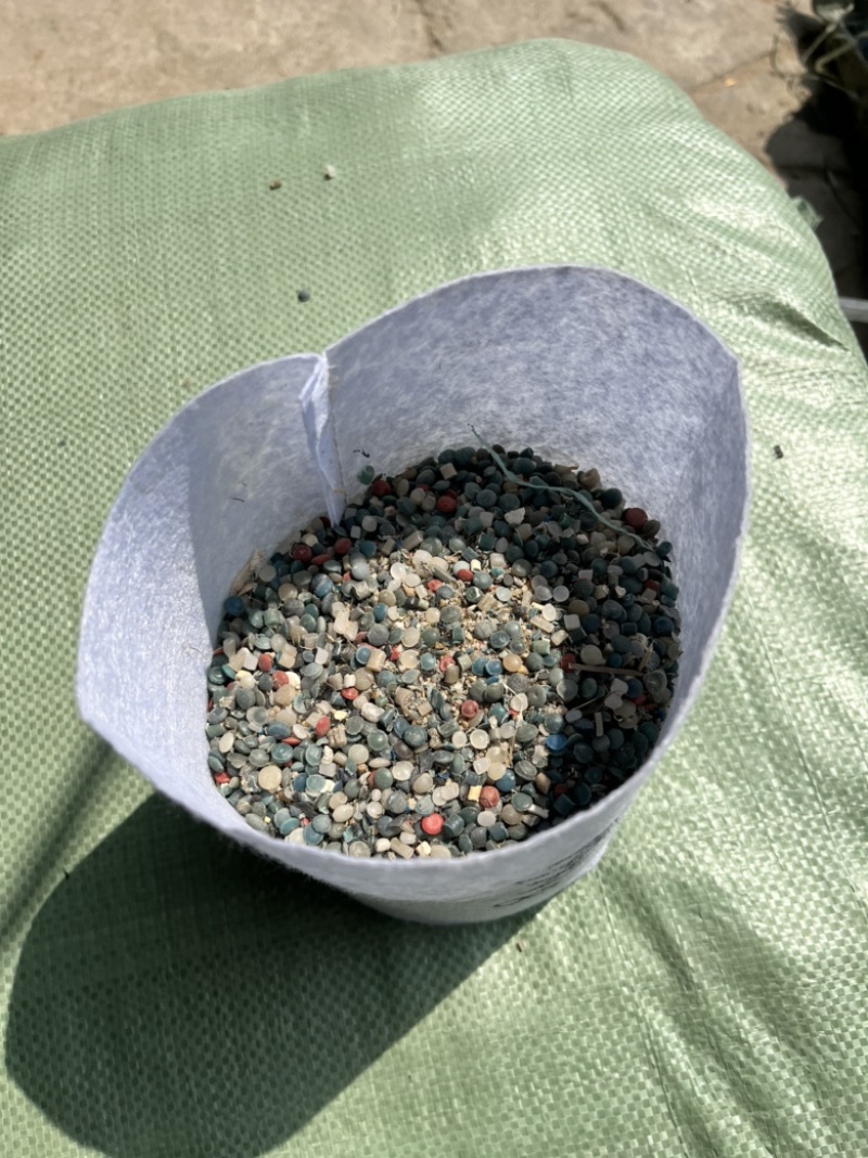 圆底植树袋加厚无纺布营养钵控根美植袋育苗袋批发