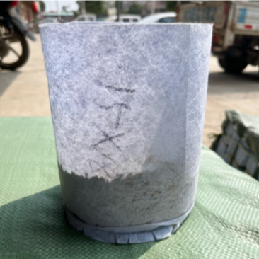 圆底加厚植树袋无纺布营养钵控根美植袋育苗袋批发