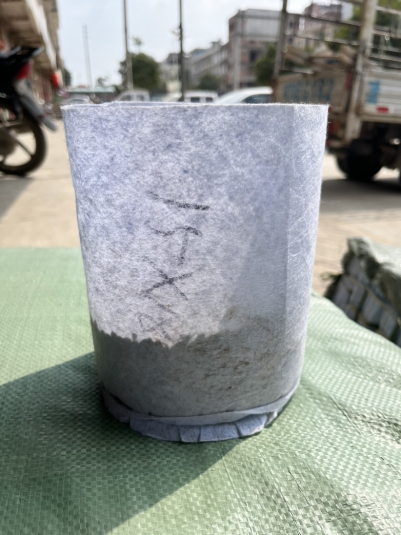 圆底加厚植树袋无纺布营养钵控根美植袋育苗袋批发