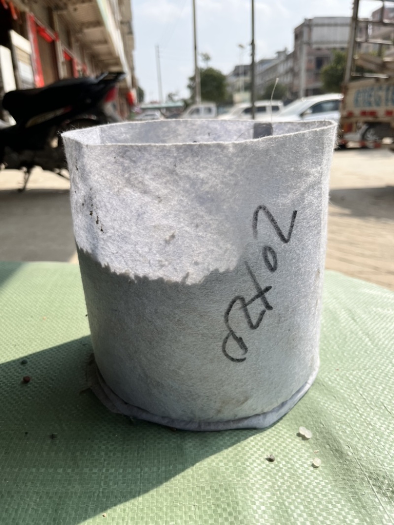 圆底加厚植树袋无纺布营养钵控根美植袋育苗袋批发