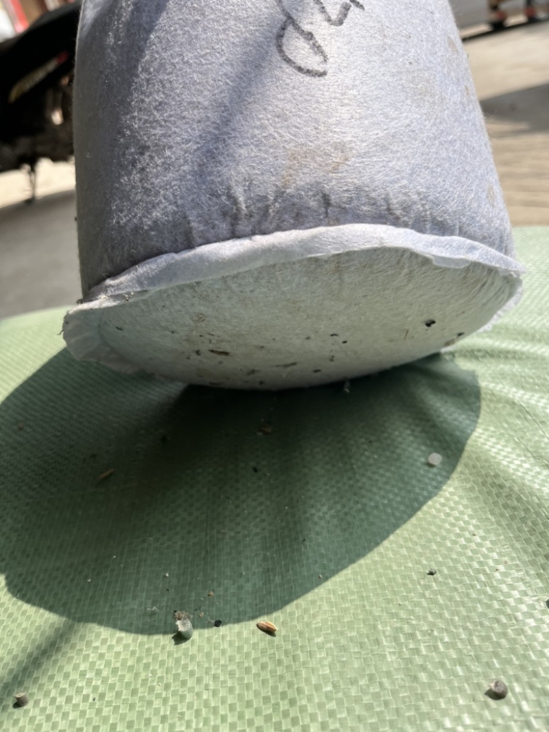 圆底加厚植树袋无纺布营养钵控根美植袋育苗袋批发