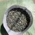 圆底加厚植树袋无纺布营养钵控根美植袋育苗袋批发