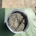 圆底加厚植树袋无纺布营养钵控根美植袋育苗袋批发