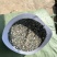 【精选】圆底加厚无纺布植树袋无纺布营养钵控根美植袋批发