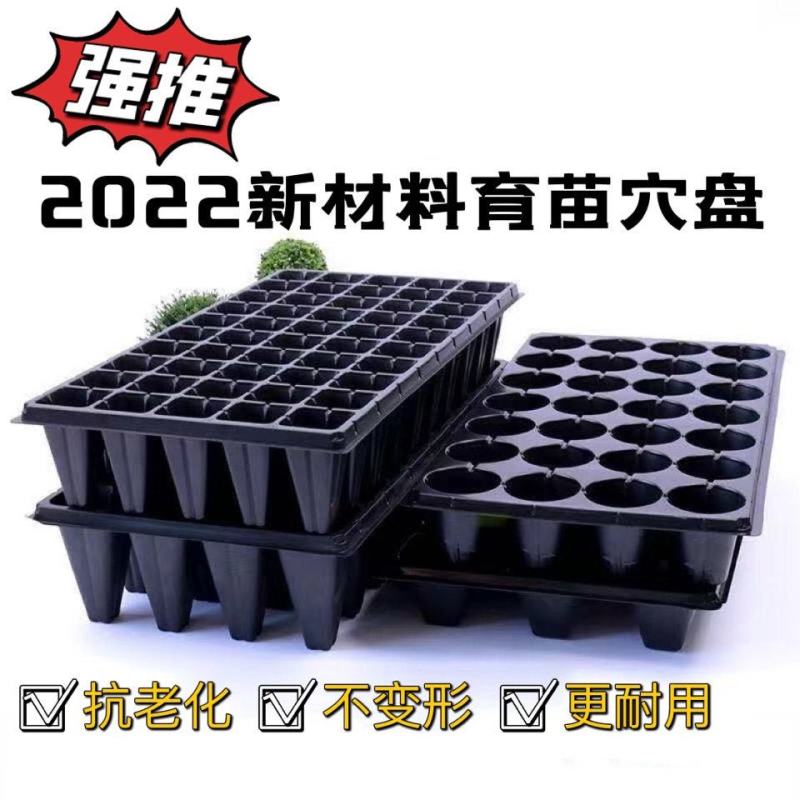 山东优质穴盘育苗盘各种规格价格优惠育苗盘育苗用具