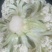 精品散花