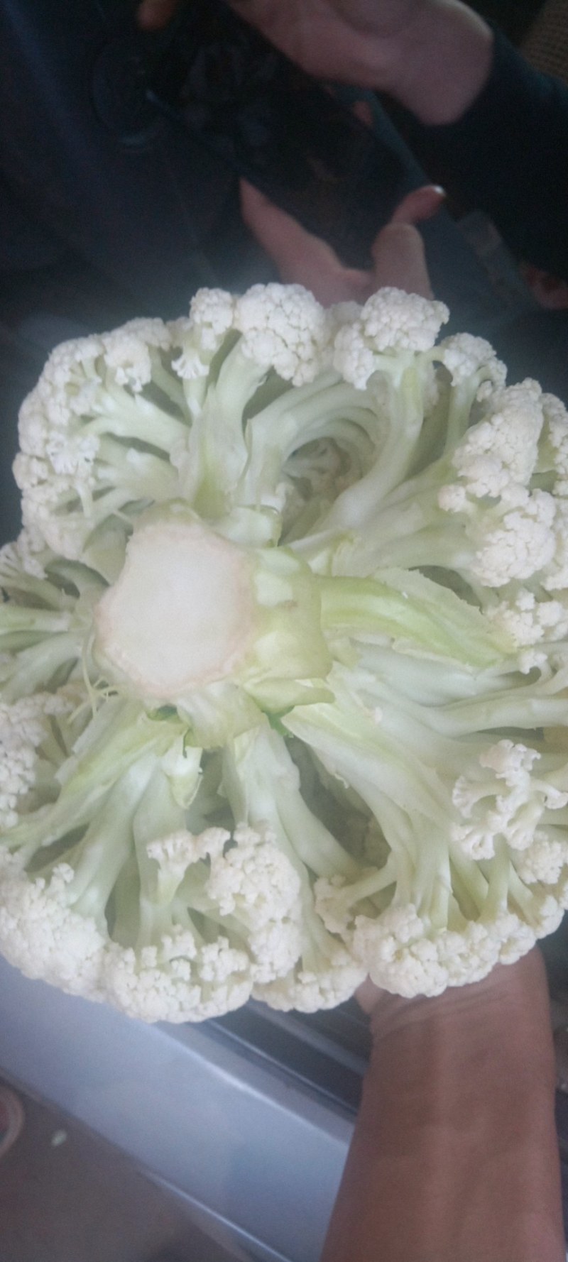 精品散花