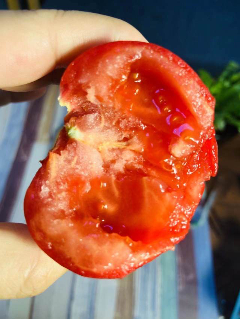 包邮普罗旺斯西红柿纯口味正酸甜口感长期供应