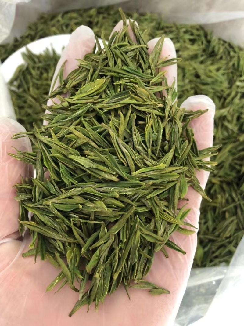 溧阳市天目湖白茶2022新茶上市