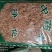 水洗干货糯稻根各种规格量大优惠2斤起包邮