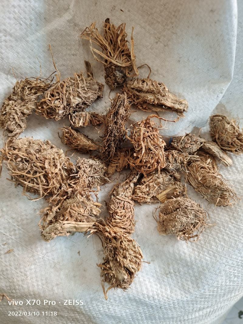 水洗干货糯稻根各种规格量大优惠2斤起包邮