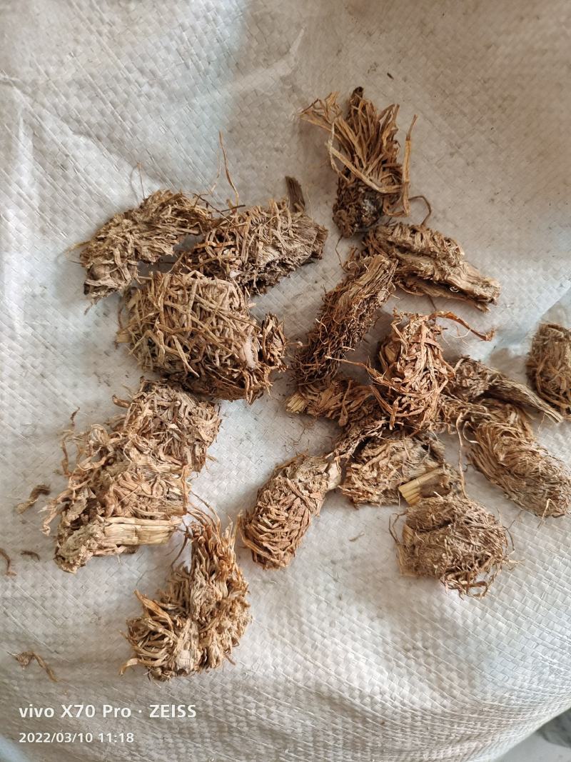 水洗干货糯稻根各种规格量大优惠2斤起包邮