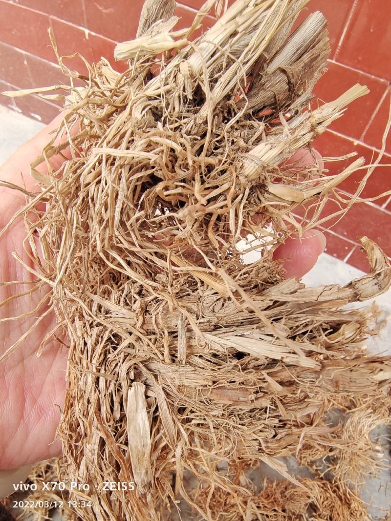 水洗干货糯稻根各种规格量大优惠2斤起包邮