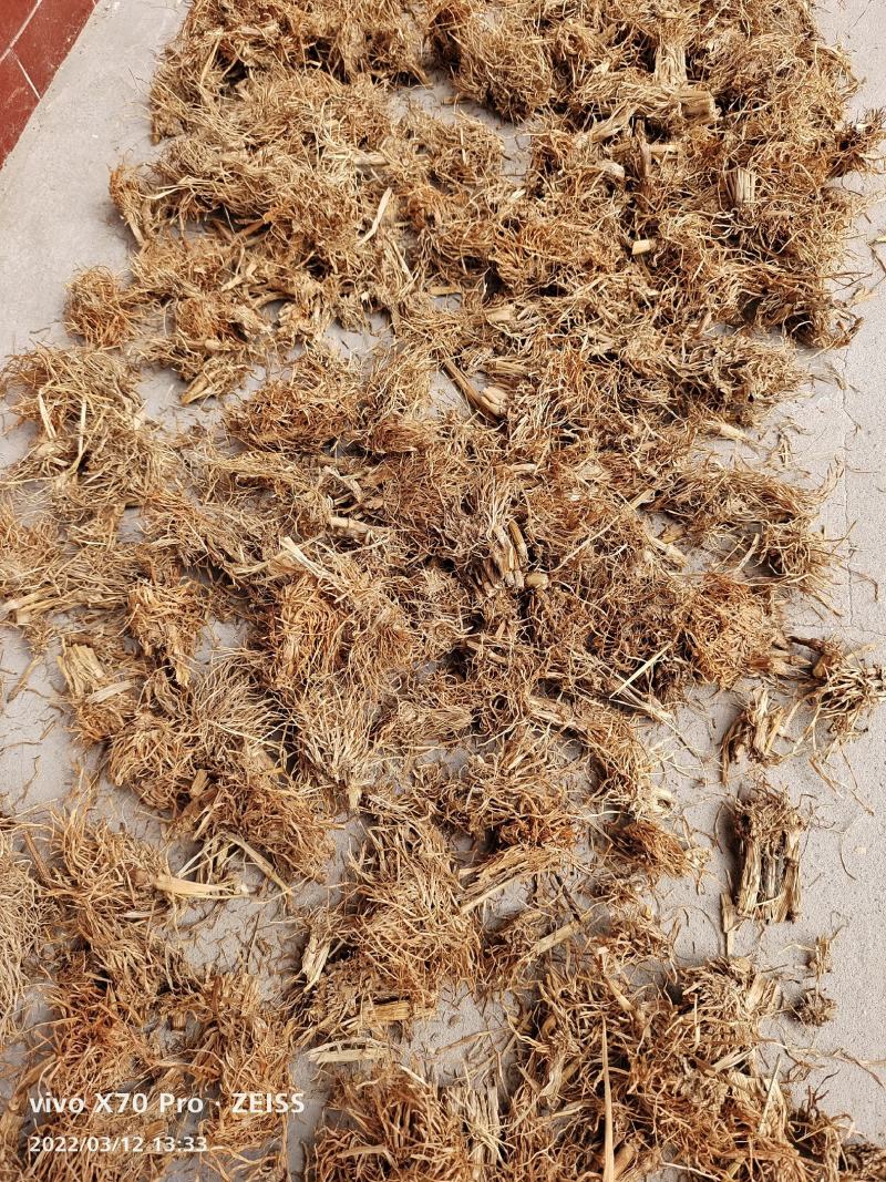 水洗干货糯稻根各种规格量大优惠2斤起包邮