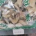两面针正品入地金牛无硫无添加冷背品种