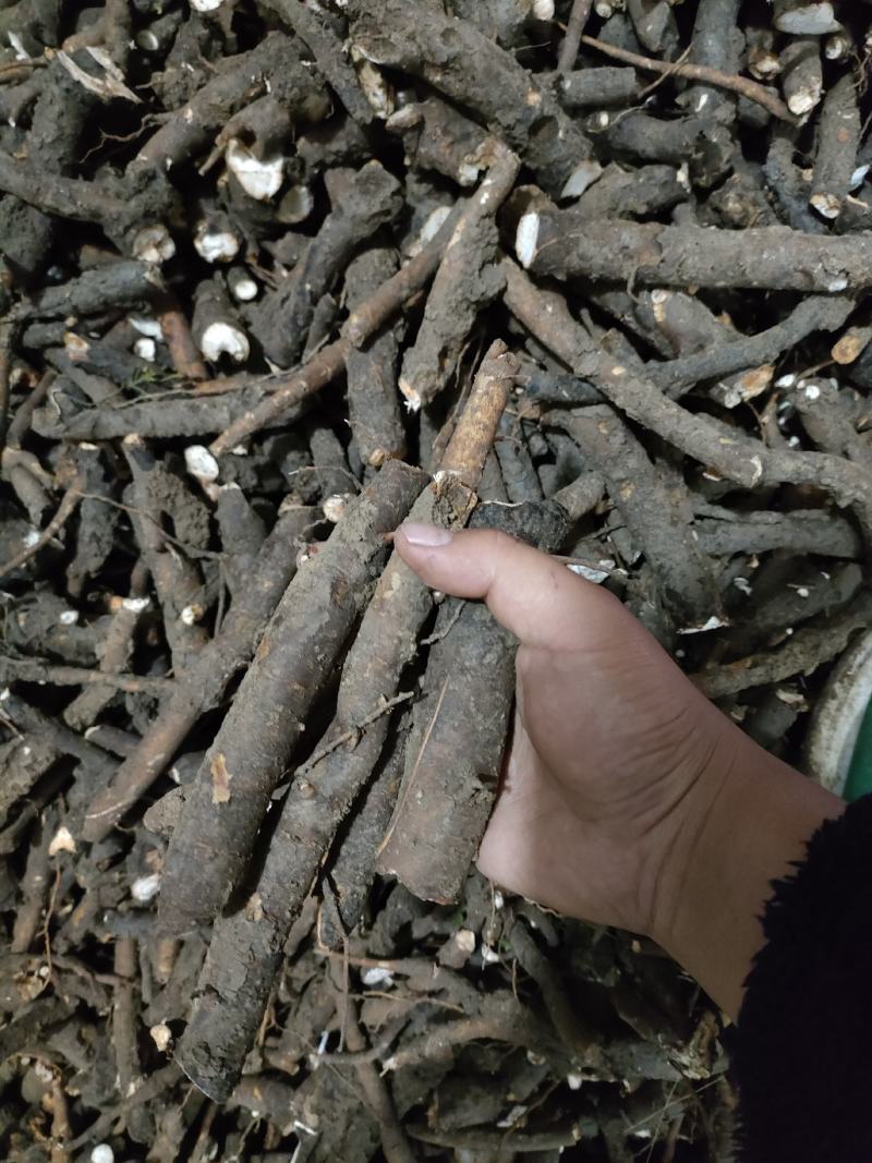 大量收购鲜白芍，四年五年货，无狗眼无蚂蚁造，产地不限