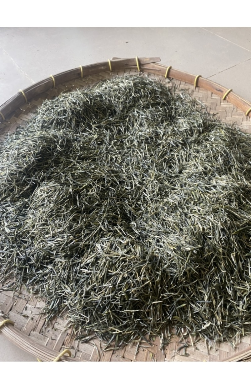 春茶