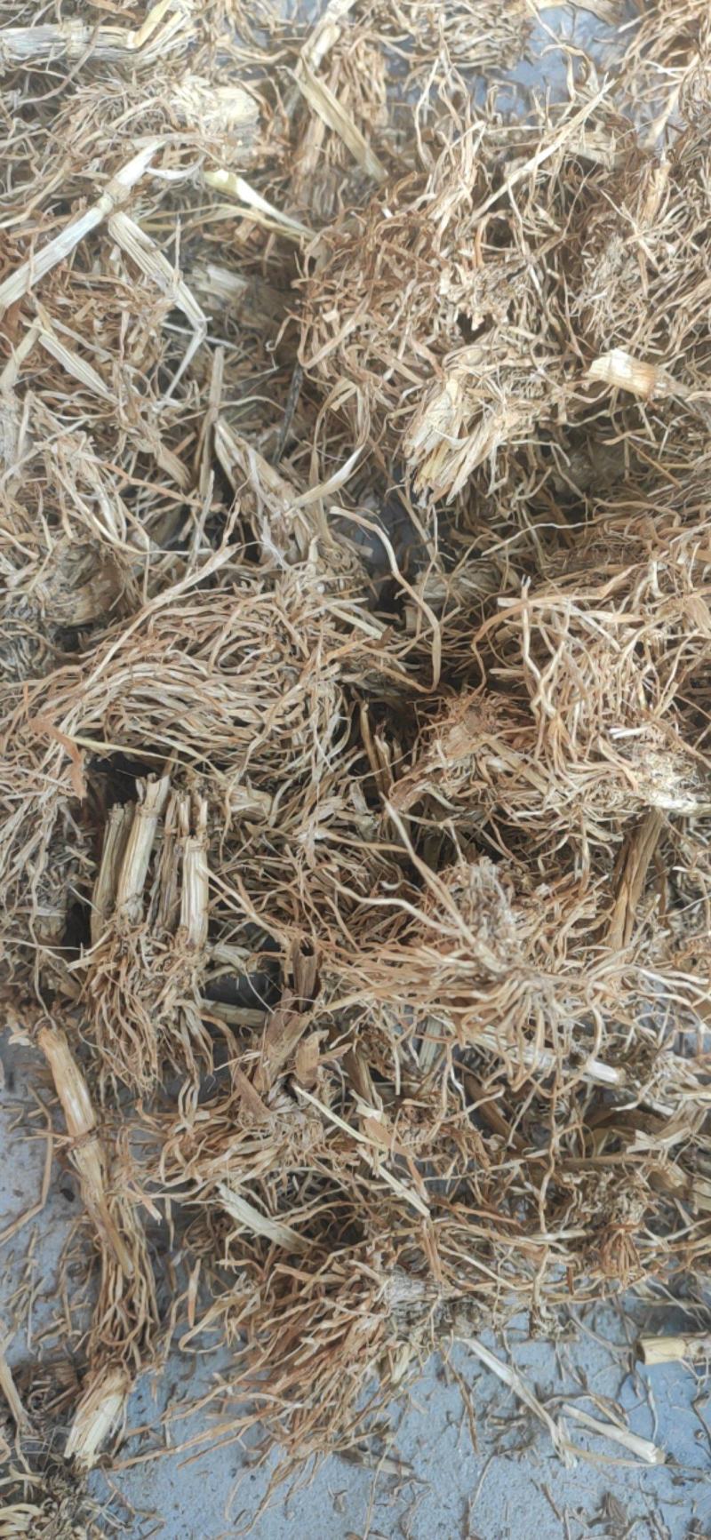 糯稻根中药材水洗糯稻根干净无杂质欢迎选购！