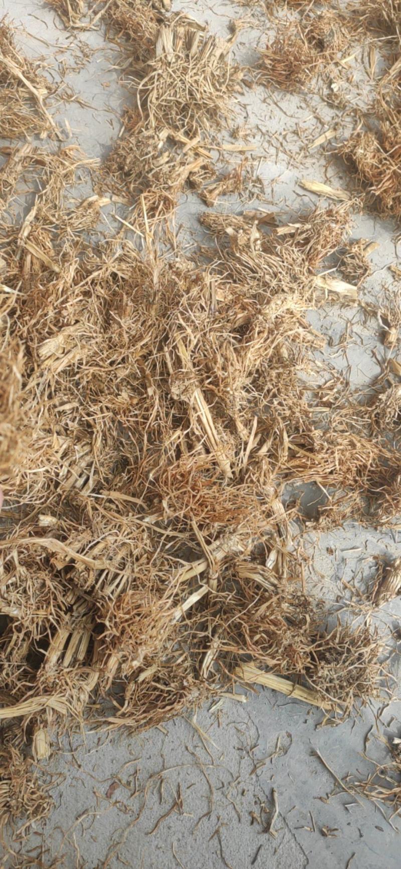 糯稻根中药材水洗糯稻根干净无杂质欢迎选购！