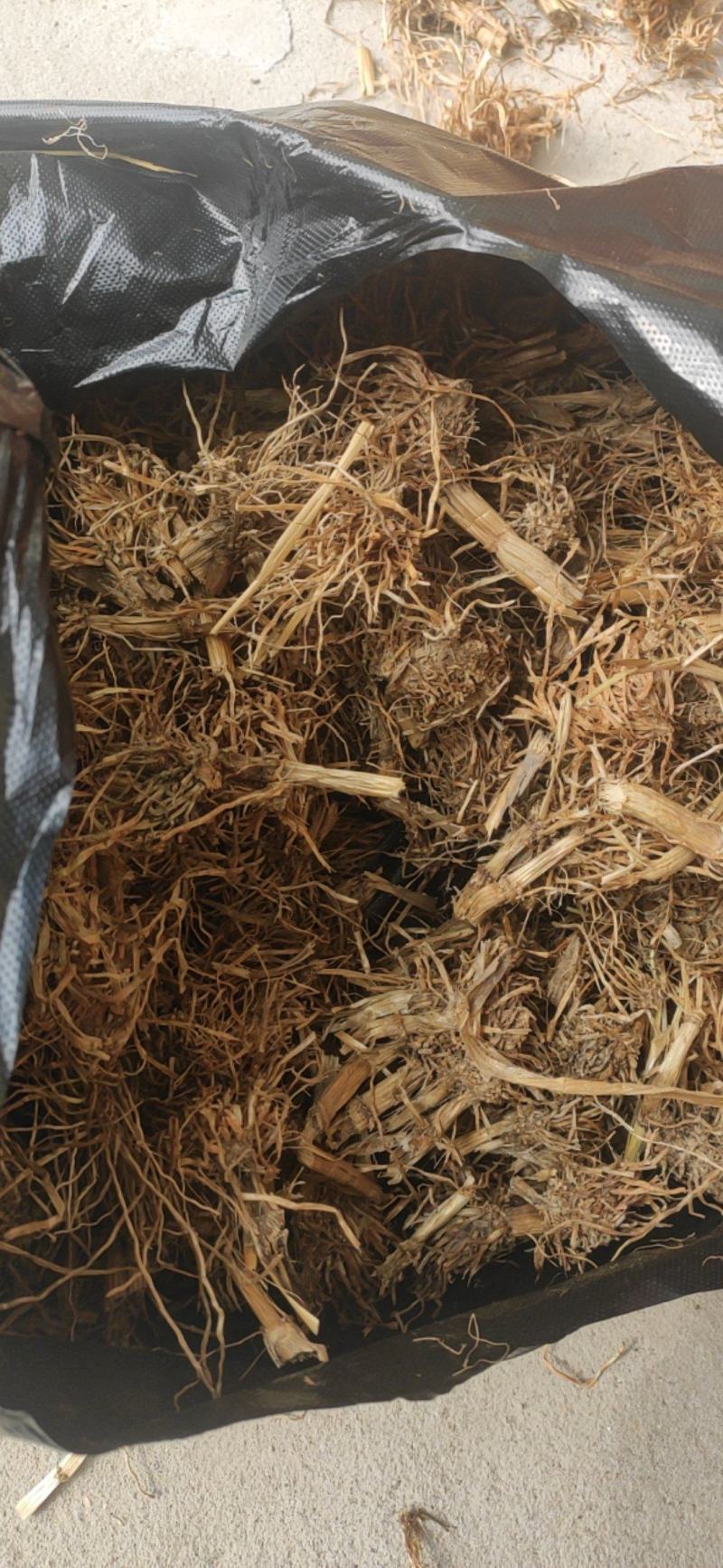 糯稻根中药材水洗糯稻根干净无杂质欢迎选购！
