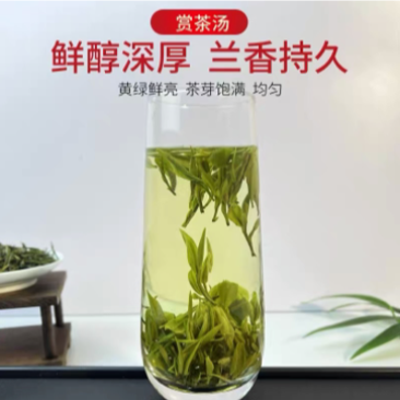 耐泡浓香口粮好茶霍山黄芽2022新茶雨前新茶