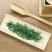 耐泡浓香口粮好茶霍山黄芽2022新茶雨前新茶