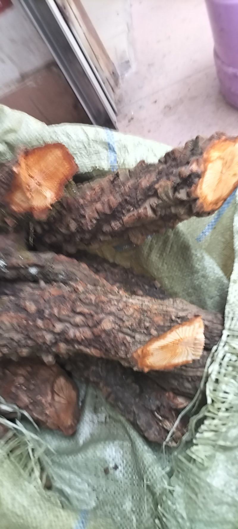 红藤大血藤资源减少产地货源