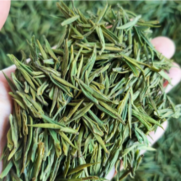 溧阳天目湖白茶2022新茶上市