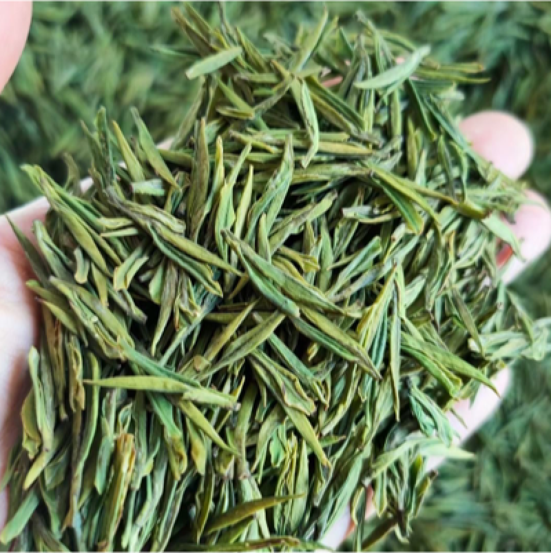 溧阳天目湖白茶2022新茶上市