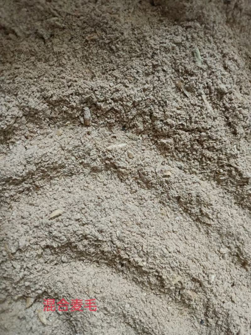 小麦麸，金沙河