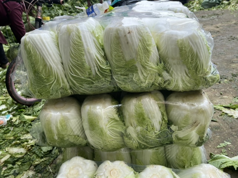 山东临沂，黄心大白菜规格9成心质量保证，规格齐全