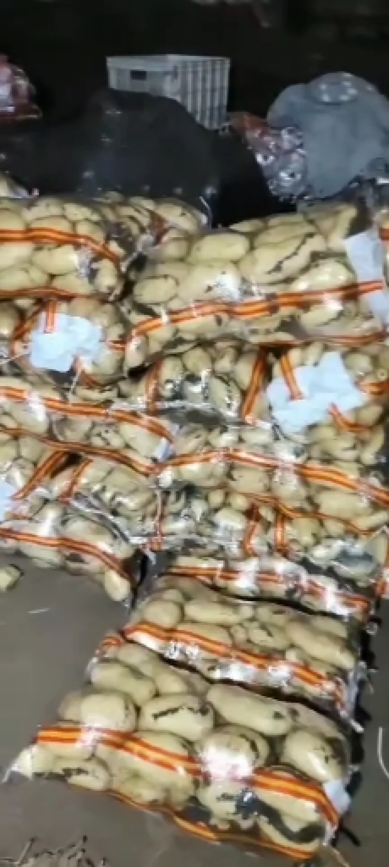 大量供应河北土豆-黄心土豆，品种多，质量保证，求长