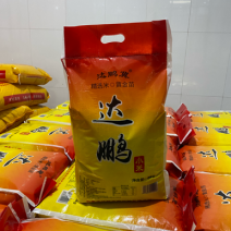 达鹏小米黄金苗K1小米5KG