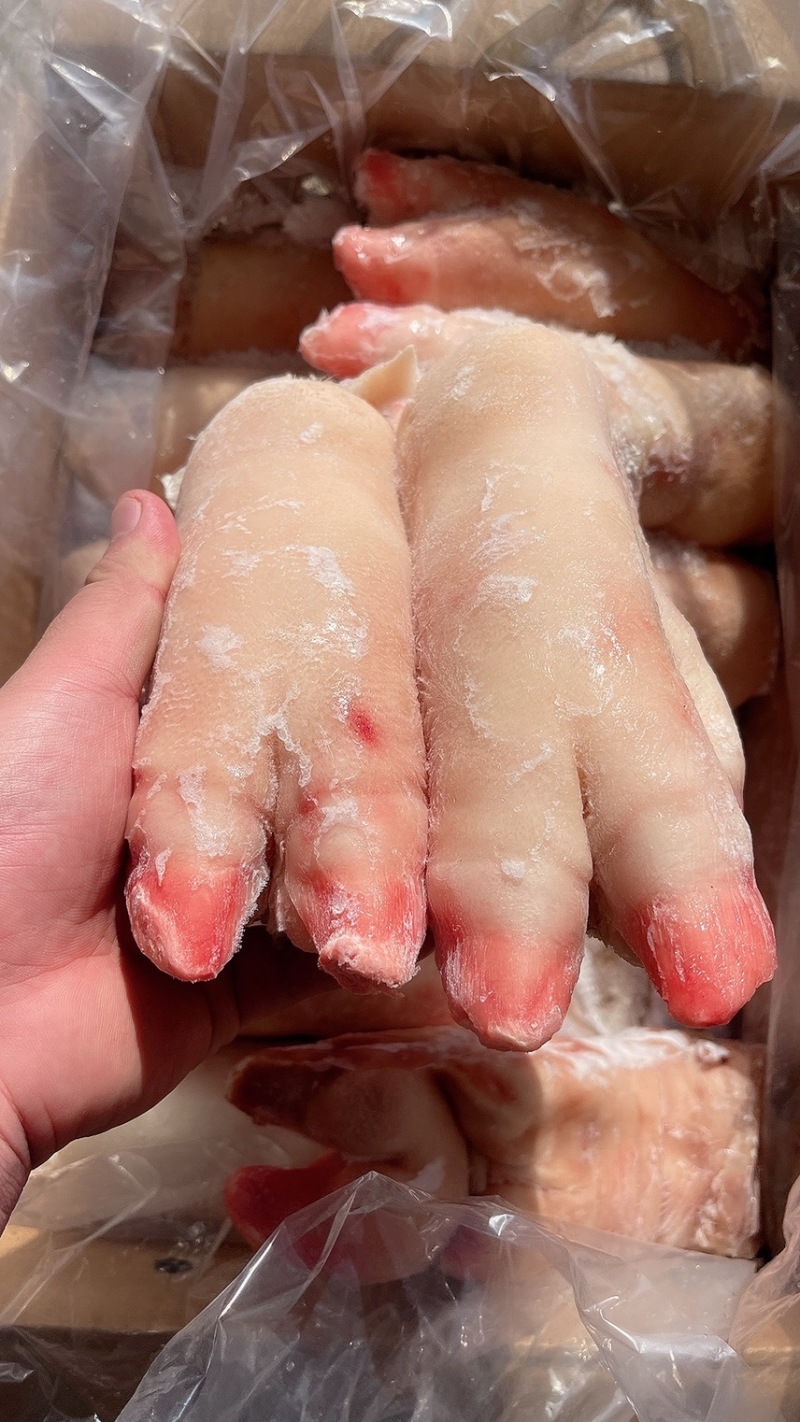 母猪蹄_精品全筋蹄，质量好价格低-新货-每天生产
