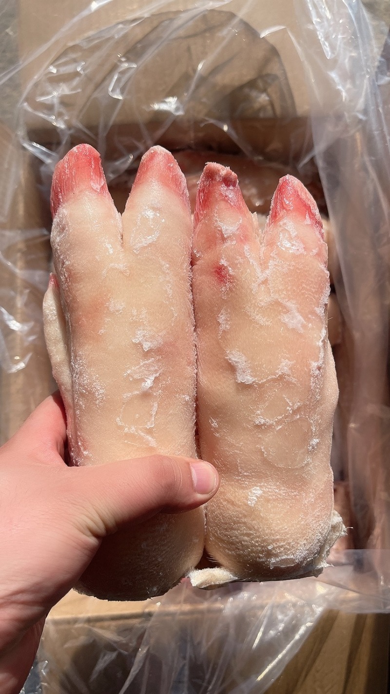 母猪蹄_精品全筋蹄，质量好价格低-新货-每天生产