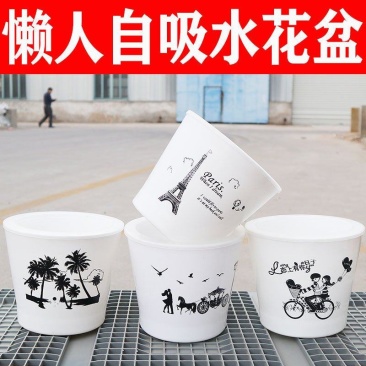 整件批发绿萝懒人自吸水式塑料花盆水培盆内附定植篮绿萝通用
