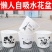 整件批发绿萝懒人自吸水式塑料花盆水培盆内附定植篮绿萝通用
