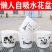 整件批发绿萝懒人自吸水式塑料花盆水培盆内附定植篮绿萝通用