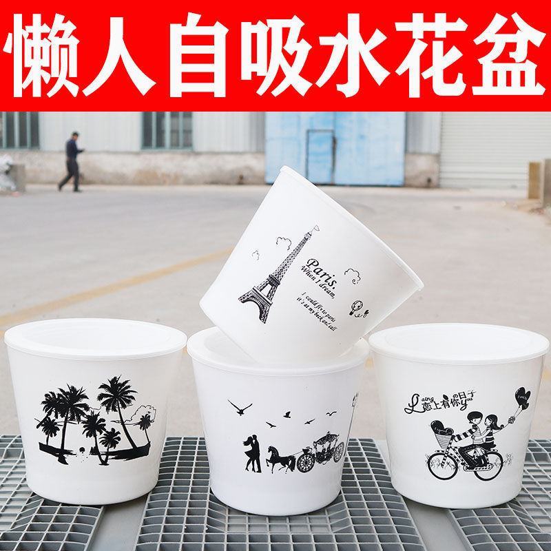 整件批发绿萝懒人自吸水式塑料花盆水培盆内附定植篮绿萝通用