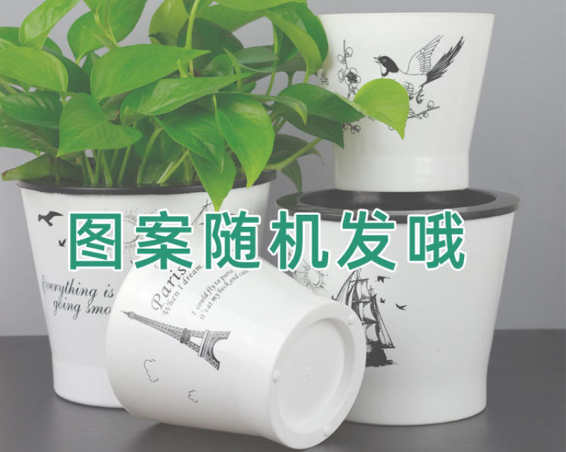整件批发绿萝懒人自吸水式塑料花盆水培盆内附定植篮绿萝通用