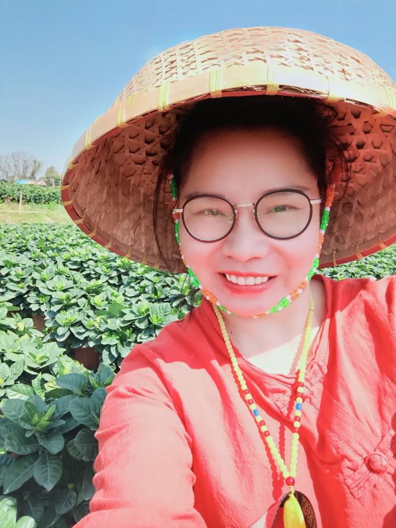 栀子花大盆，花农直销