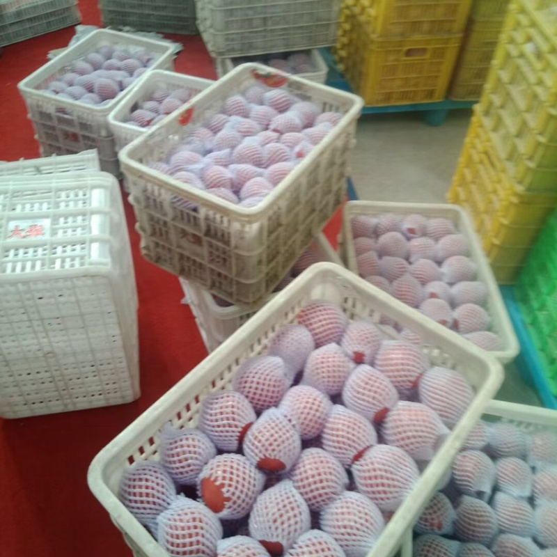 普罗旺斯，价格下滑