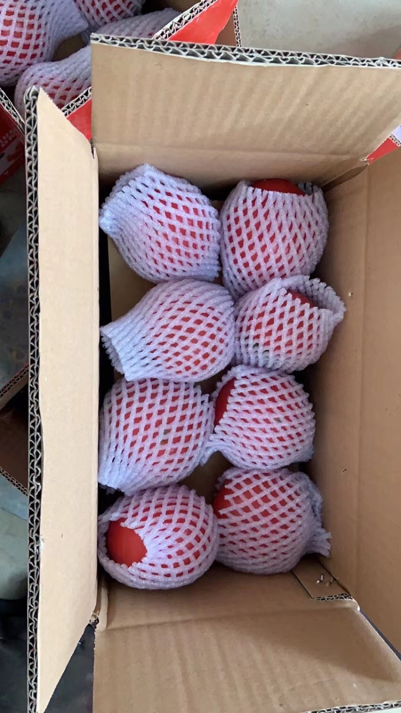 普罗旺斯，价格下滑