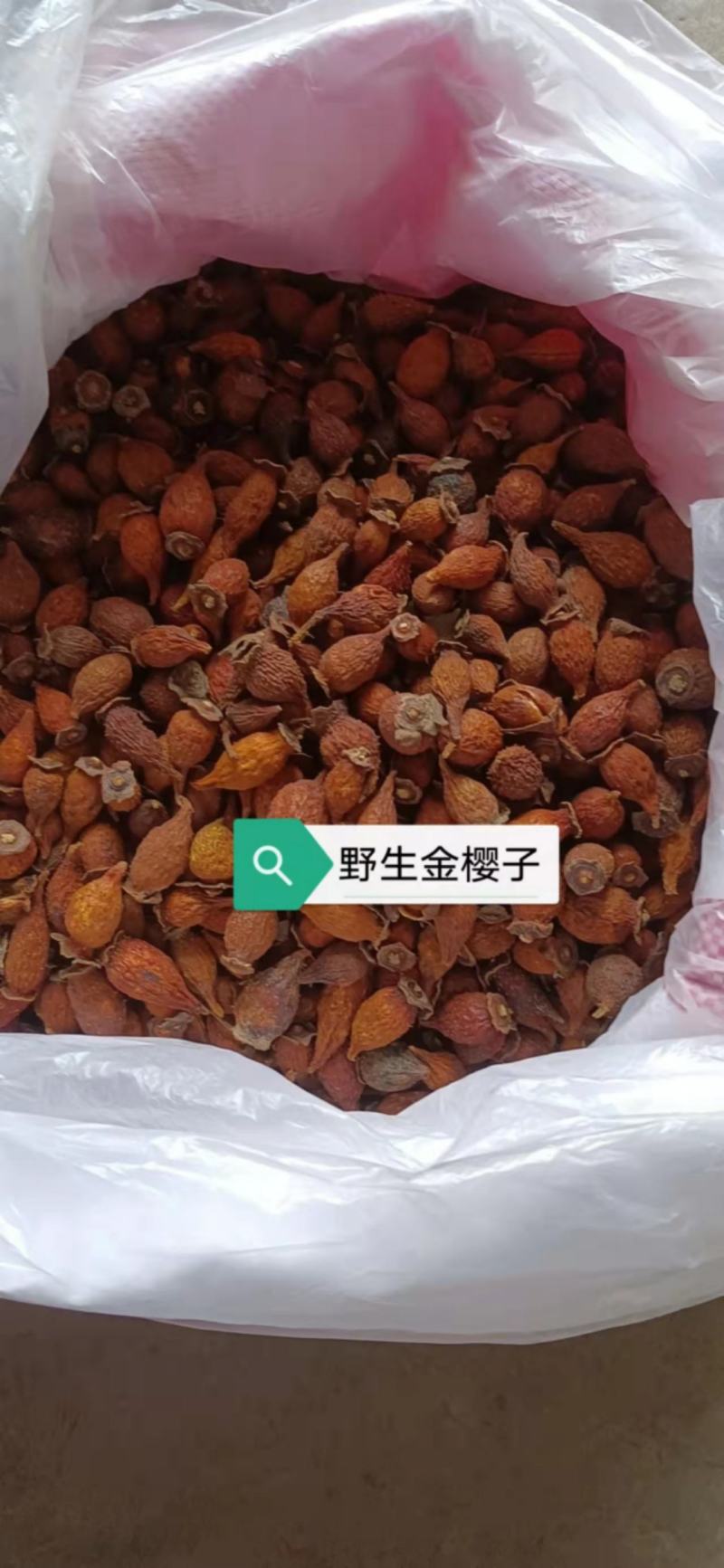 广西省河池市天峨县野生金樱子，靓货，出售