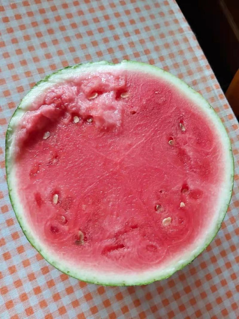【美都西瓜】产地西瓜新鲜应季暴甜多汁量大从优