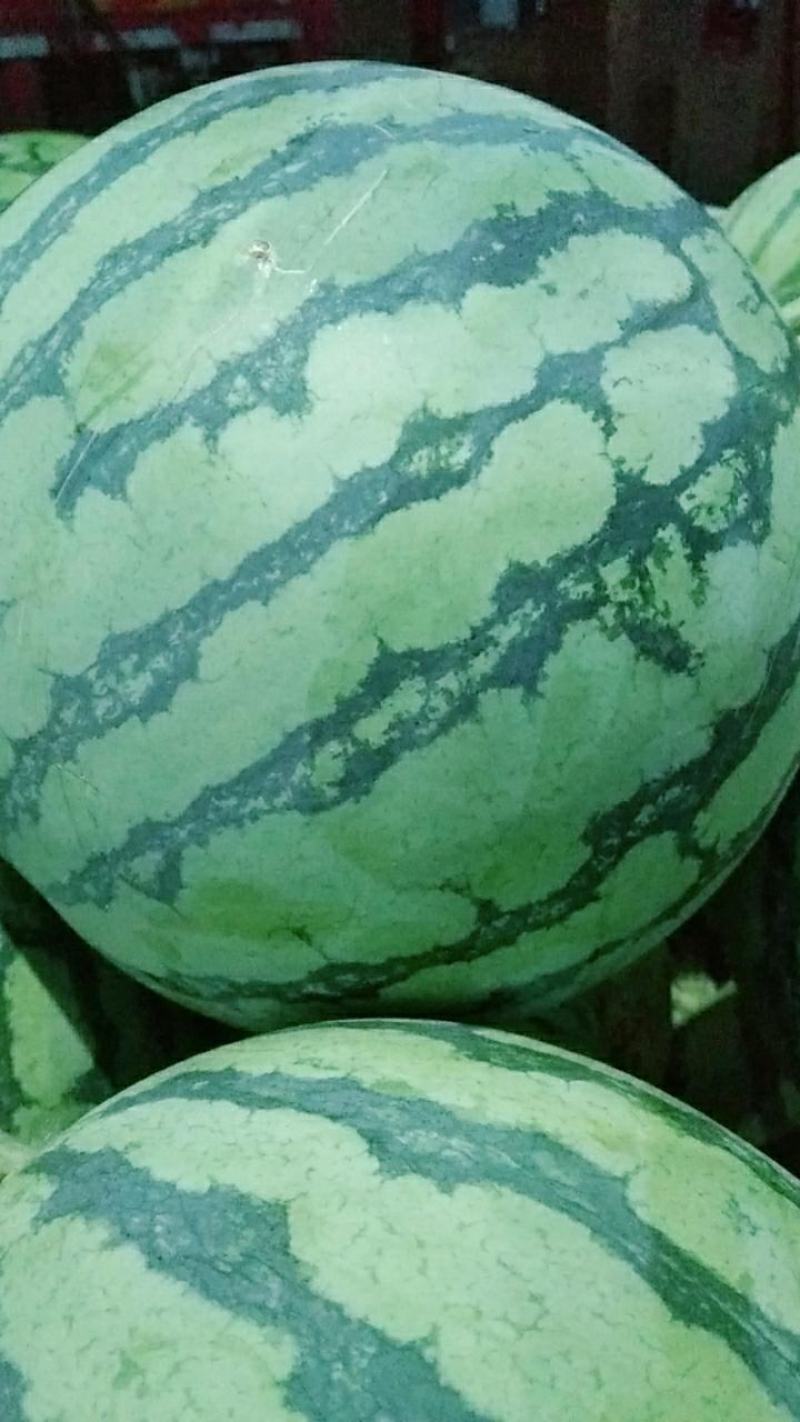 【美都西瓜】产地西瓜新鲜应季暴甜多汁量大从优