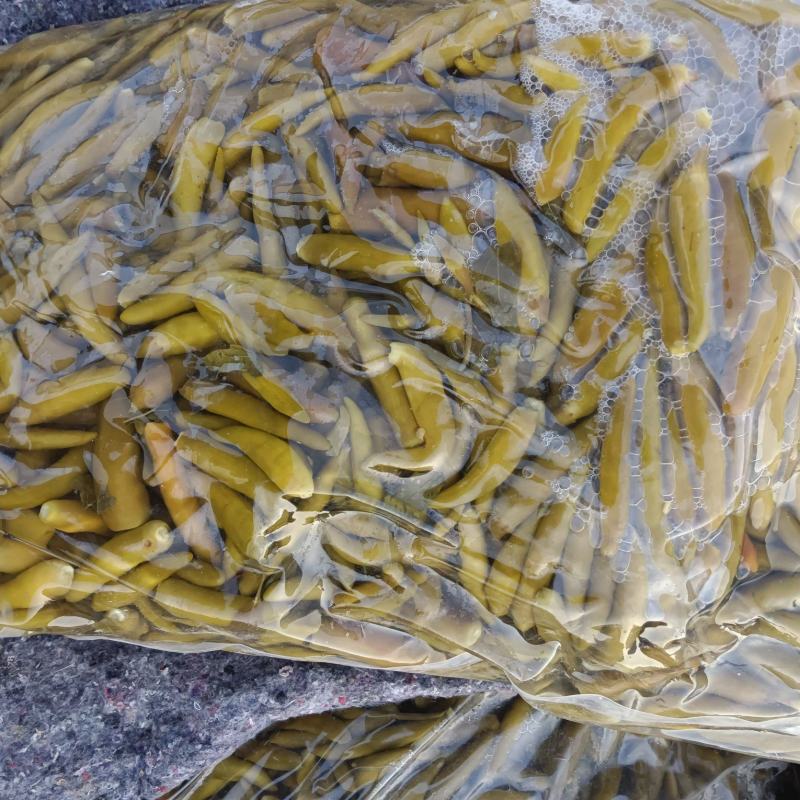 泡椒青小米