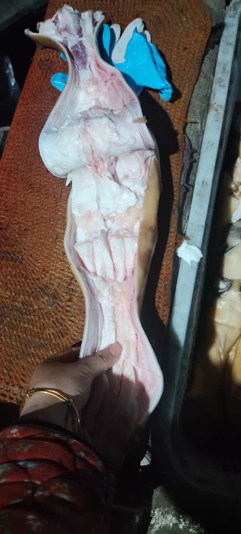半去骨牛蹄，火烧半去骨，大公牛蹄，一手货源